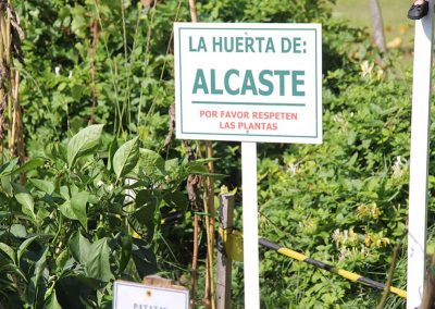 Huerta Alcaste-Las Fuentes
